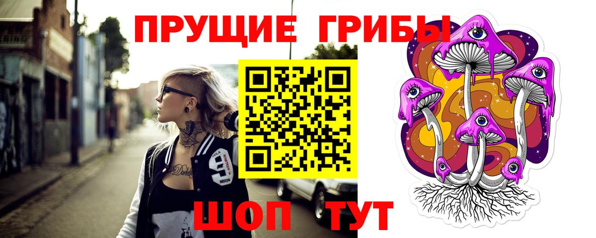 Псилоцибиновые грибы мицелий Троицк
